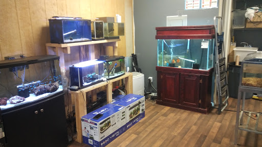 Serenity Aquariums LLC Gallery - United States