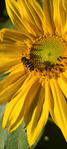 Glide Landscape & Garden Supply - Thumbnail