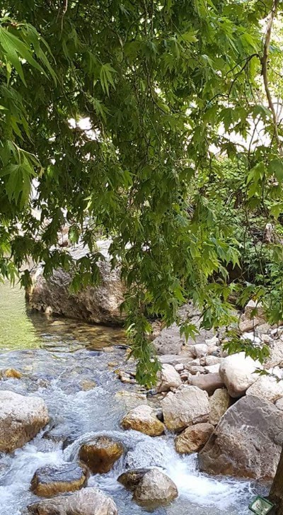 Photos of Al Rabih - Restaurant