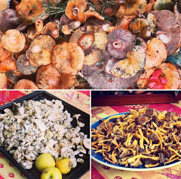 Photo n°8 de Cabanon En Provence à Ampus (Chambre d'hôtes)