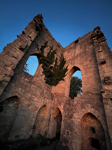 Ruine Donopskuppe - Thumbnail