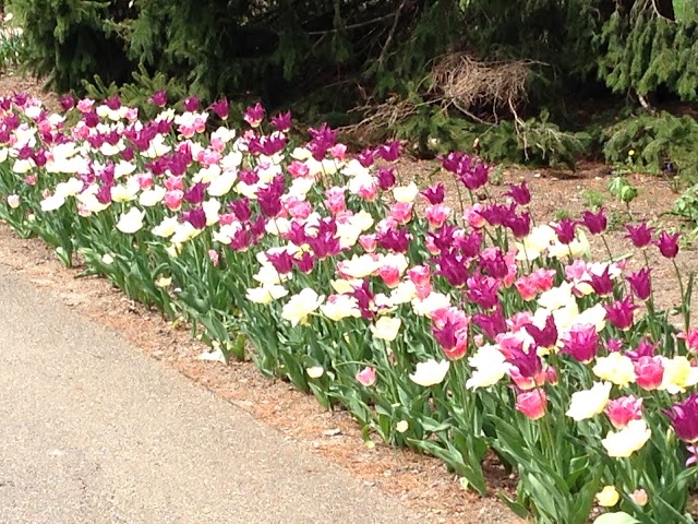 Inniswood Metro Gardens