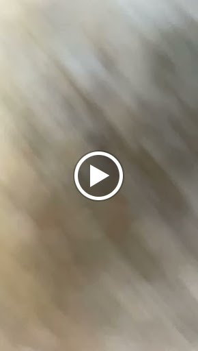 Photo de Piscines Des Grands Crus (Distributeur Exclusif Magiline) à Beaune (21200)