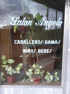 Salon Angelo, Author: Luus Capparelli