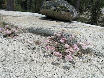 Stanislaus River Campground