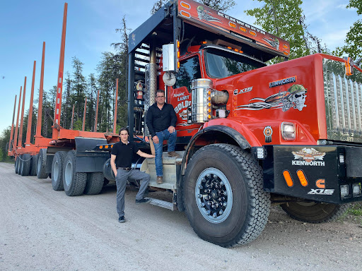 Électrocamion - Thumbnail