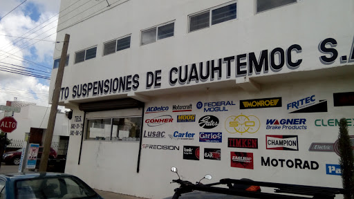 Auto Suspensions of Cuauhtemoc SA de CV Matrix