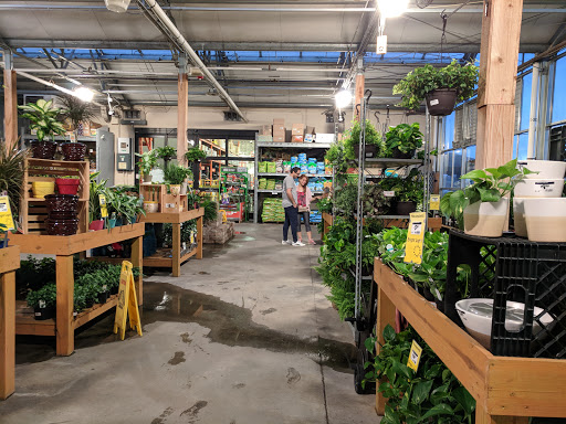 Memphis Commons - Visual