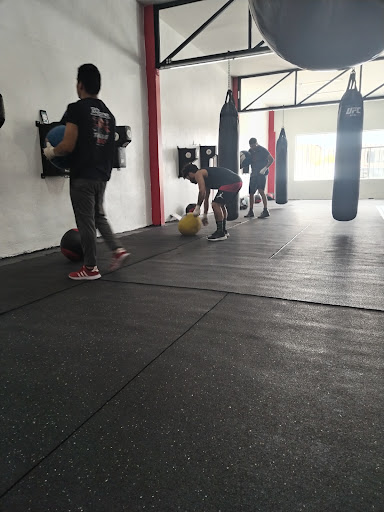 Baja mma club