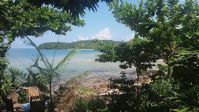 Photos of Kactus