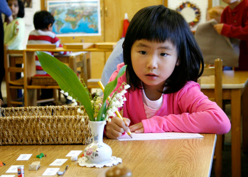 Country Meadows Montessori School