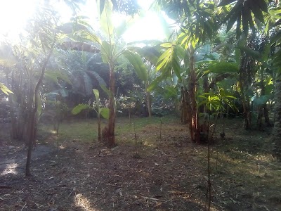 Photos of Ramagari Central Graveyard, Boraigram, Natore