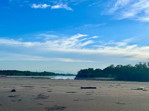 Desembocadura del Río Presidio.
