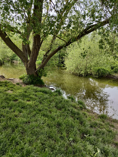 Bocking Blackwater Nature Reserve - Thumbnail