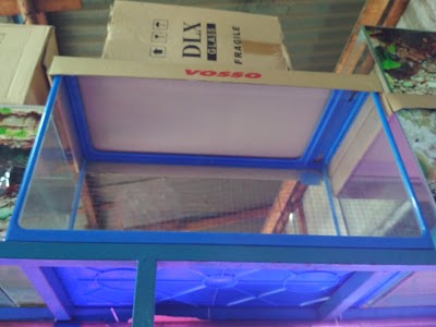 Photos of Rr Aquarium