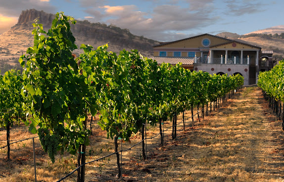 Belle Fiore Winery by null