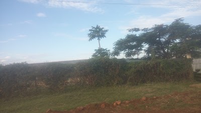 Photos of Uzima Hotel