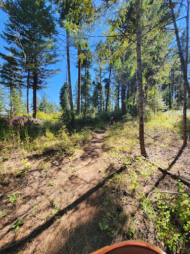 Fields Spring State Park - Visual