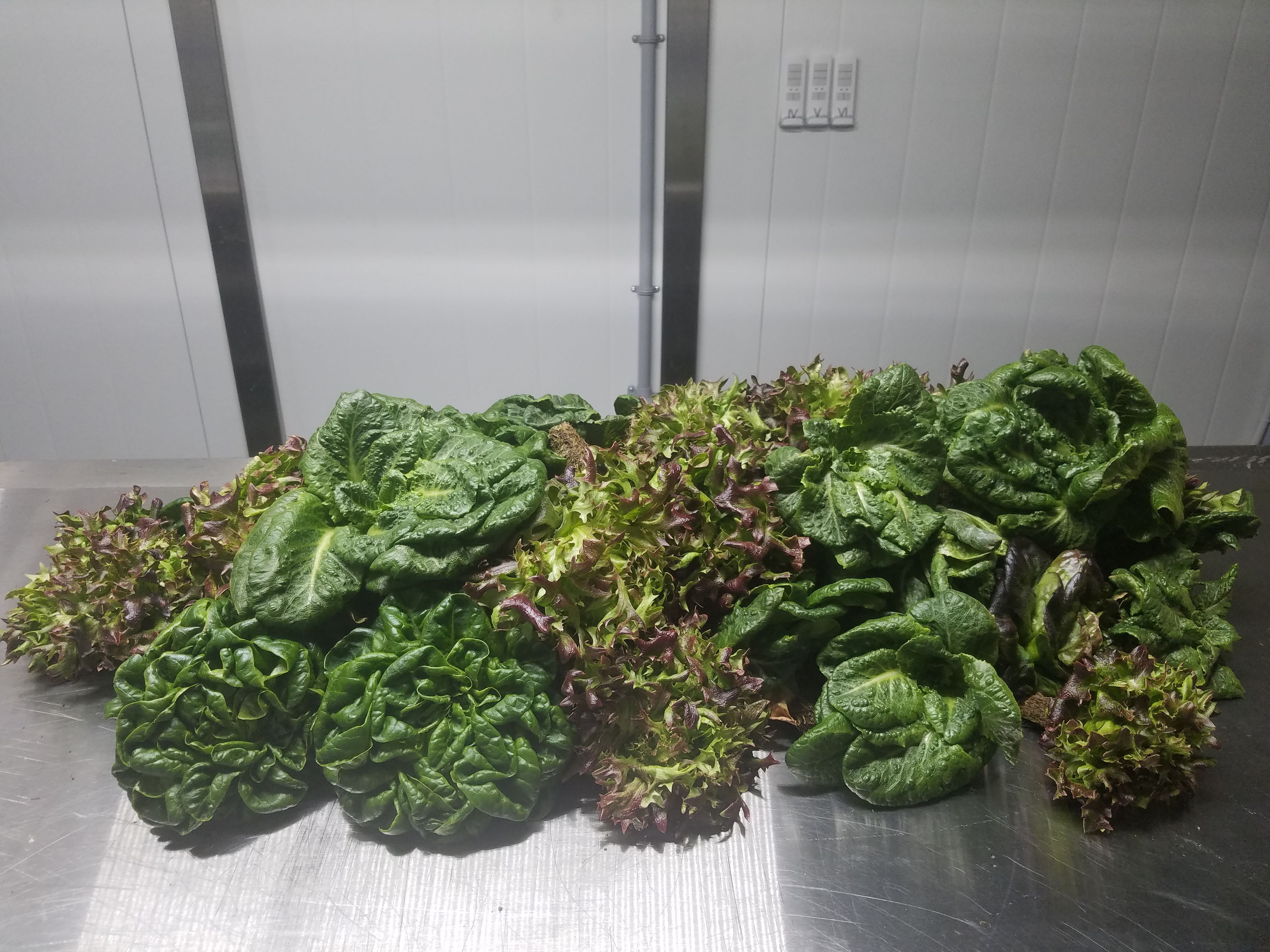 Better Fresh Farms