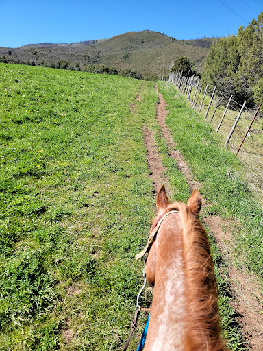 Bair Ranch stables - Thumbnail