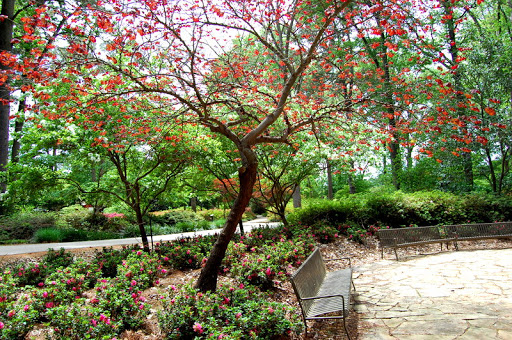 SFA Plantery - Visual