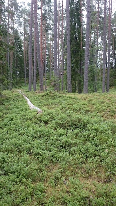 Photos of Oandu-V&otilde;su matkarada
