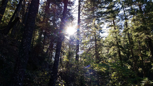 Keeps Mill Campground - Visual