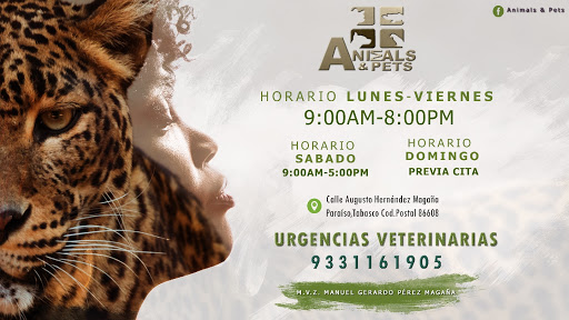 Clinica Veterinaria Animal & Pets