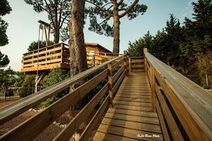 Photo n°9 de La Palmeraie - Hébergement Insolite Occitanie à Salles-d'Aude (Chambre d'hôtes)