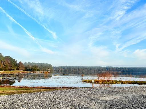 Lake D - Visual