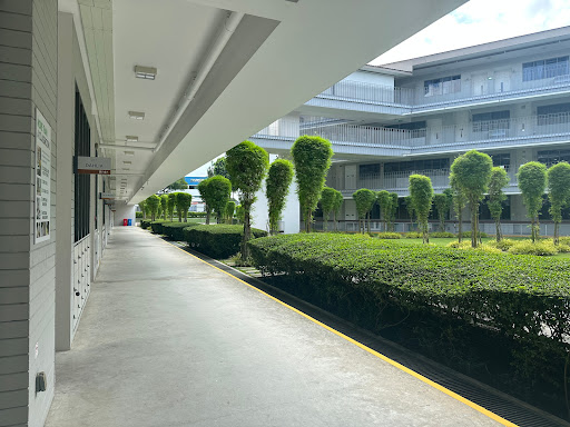 Pathlight School - Visual