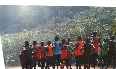 Photos of Kakamega Forest National Reserve