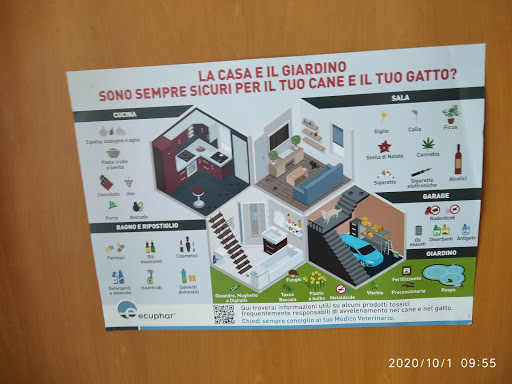 Ambulatorio Veterinario Dott.Ssa Dalia Donini - Thumbnail