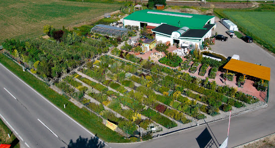 Baumschule Gartengestaltung Günter Kirner Kammerhofstraße 83, 3202 Hofstetten, Österreich