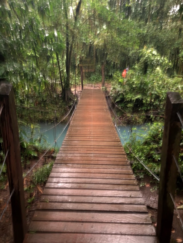 Río Celeste