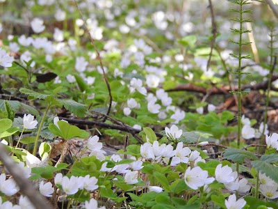 Photos of V&auml;llam&auml;e matkarada