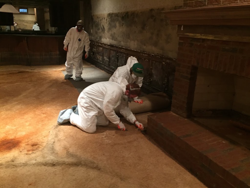Mold Removal Indianapolis photo