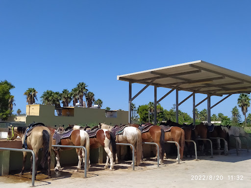 Salento EquiClub - Visual