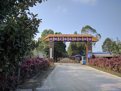 Photos of Zhuhai Qi'ao Mangrove Wetland Ecological Park