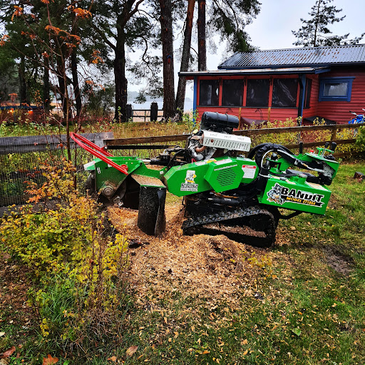 Hedesunda Trädvård AB - Thumbnail
