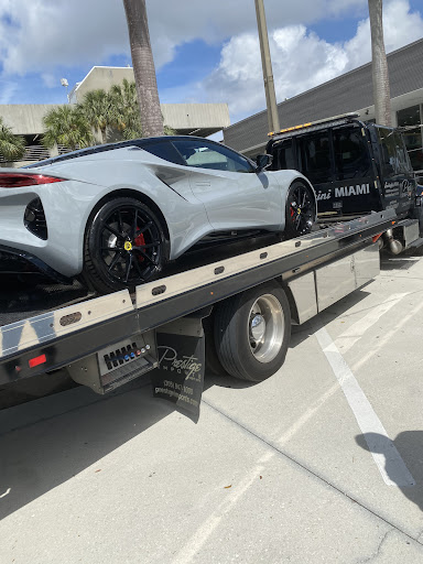 Lotus Miami - Visual