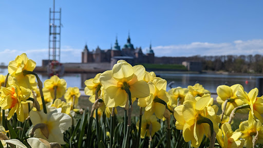 Sylvanderparken - Thumbnail