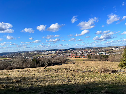 Lindenfeld