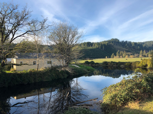 JaNell Earley, Berkshire Hathaway Home Services NW in Florence, Oregon Gallery - United States
