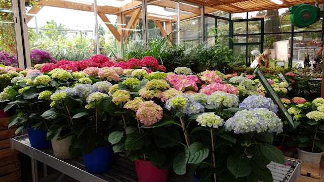 Jardinerie du Mail