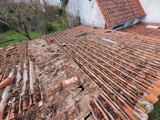 Photo de SD Rénovation de l'Habitat - Couvreur zingeur Châtellerault 86 à Thuré (86540)