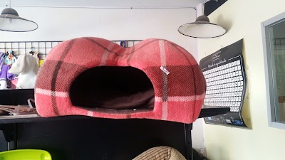 Photos of Cl&iacute;nica Veterinaria Paws
