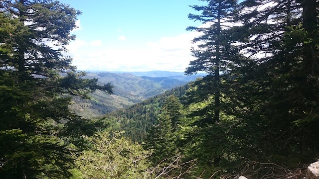 Mont Gerbier de Jonc