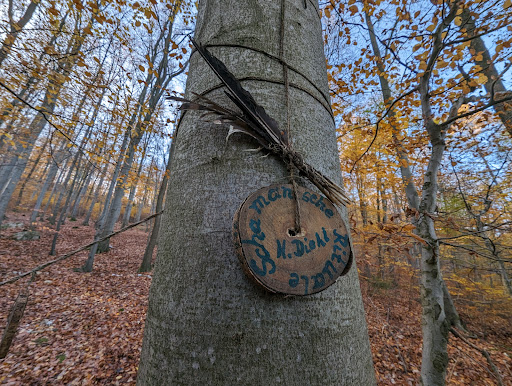 Wanderparkplatz Elfenstein - Thumbnail