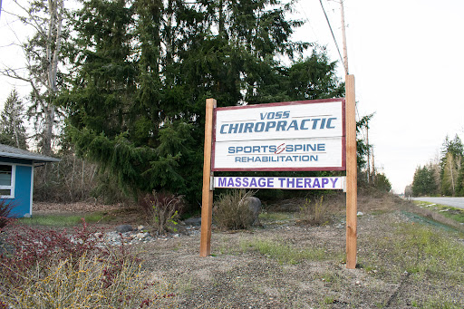 Voss Chiropractic - Visual